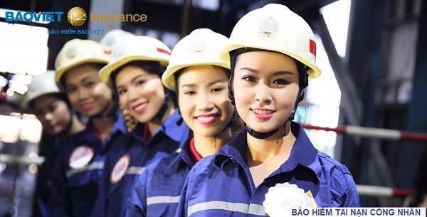 Mua bảo hiểm tai nạn công nhân - Liên hệ ngay với Bảo hiểm Bảo Việt